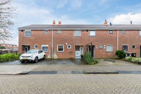 undefined main image