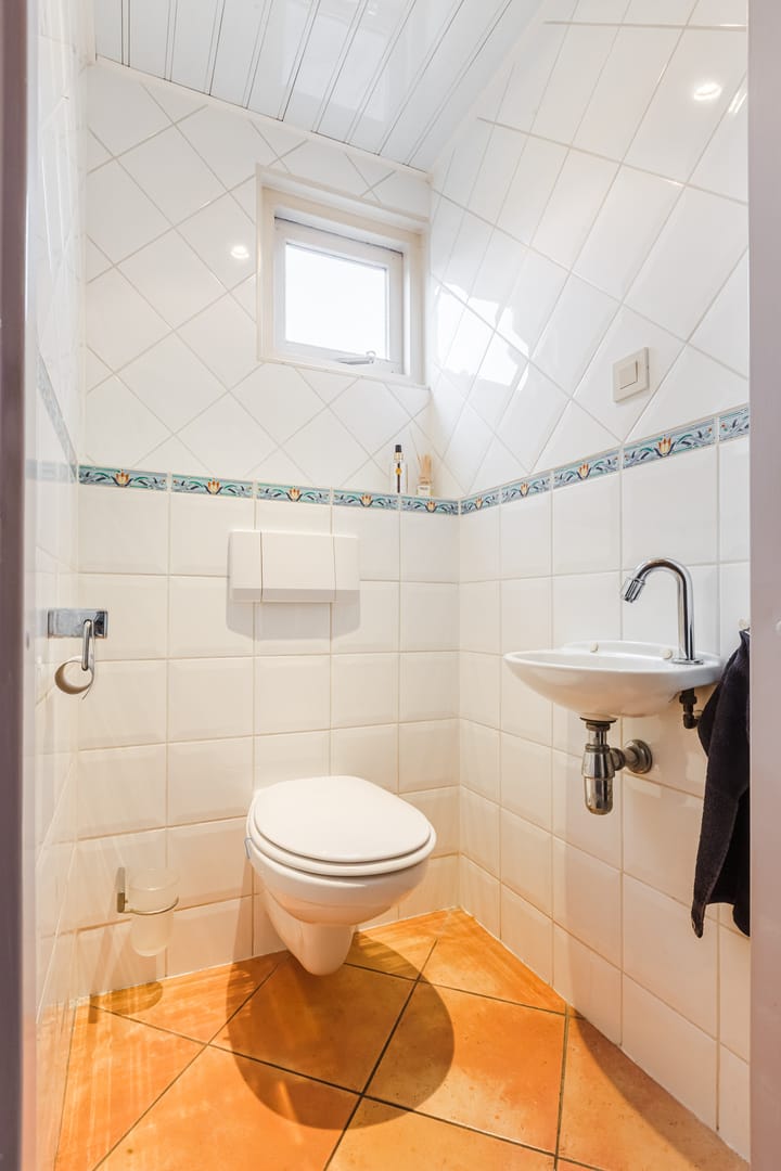 Foto 9 van Dotterbloem 12