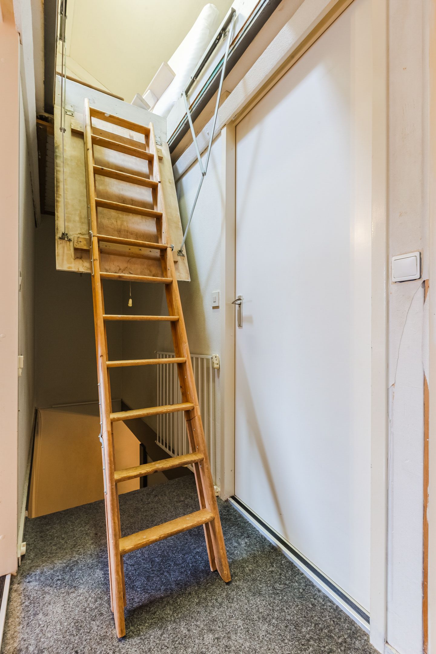 Foto 33 van Dotterbloem 12