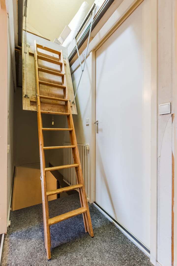 Foto 33 van Dotterbloem 12