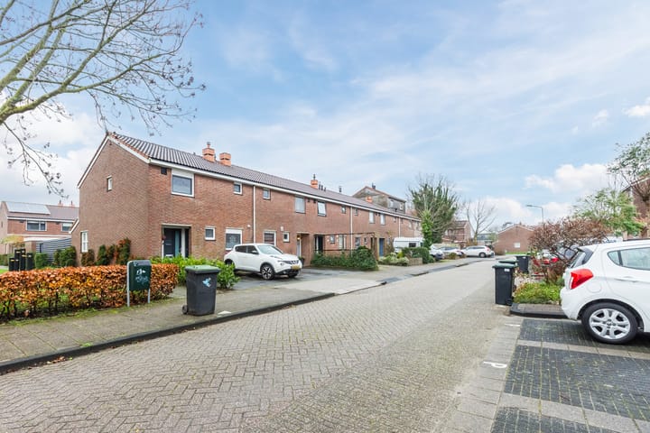 Foto 41 van Dotterbloem 12