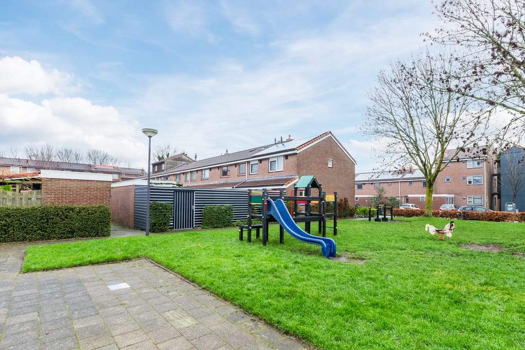 Foto 43 van Dotterbloem 12