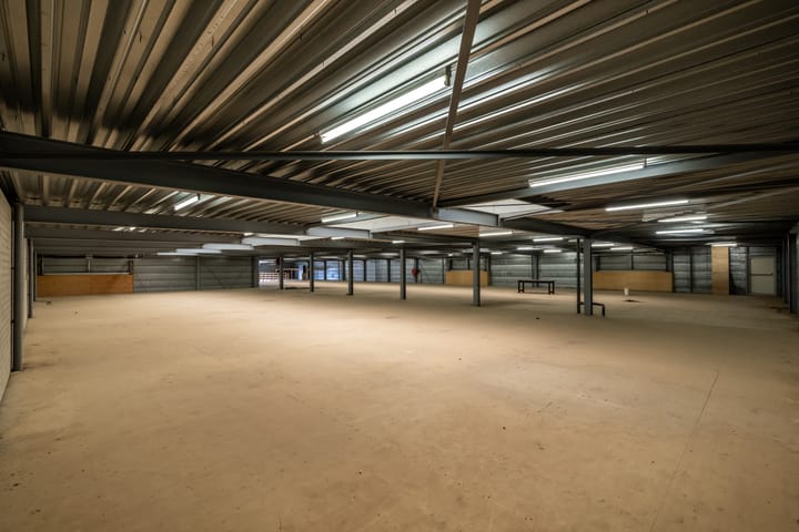 Foto 4 van Dommelstraat 40