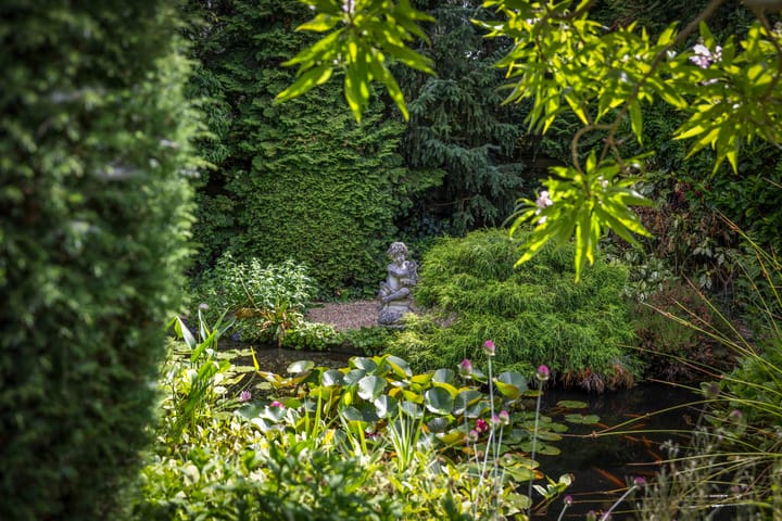 Foto 50 van Schoolstraat 9