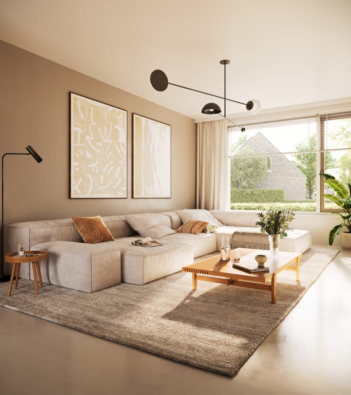 Foto 5 van Zilvermeeuwpad 8