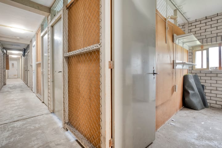 Foto 29 van Ruusbroecstraat 82