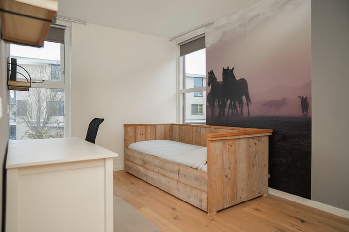 Foto 28 van Heer Balderikstraat 155