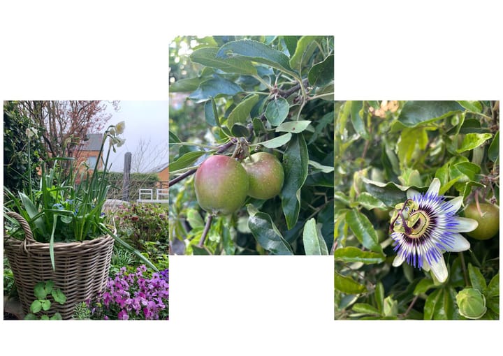 Photo 21 of Hof van Aquamarijn 7