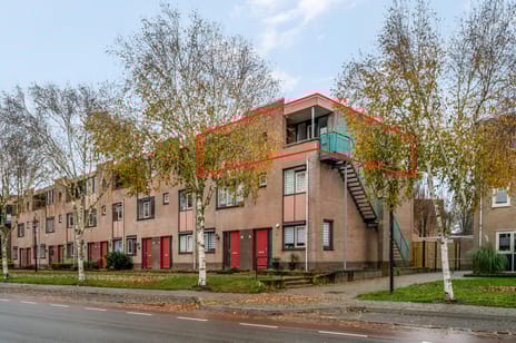 undefined main image