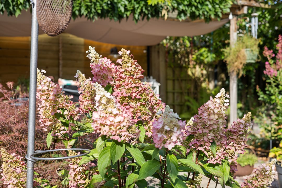 Foto 47 van Regent Smitsstraat 17