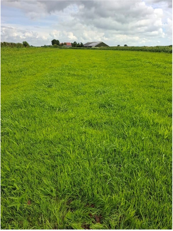 View photo 2 of Slijkenburgerdijk