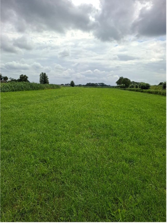 View photo 4 of Slijkenburgerdijk