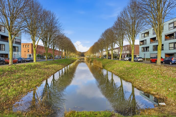 Photo 33 of Sterrenkroos 58