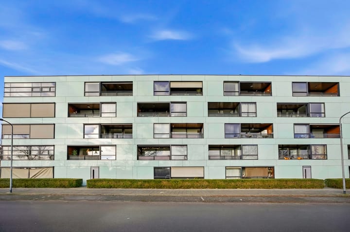 Photo 34 of Sterrenkroos 58