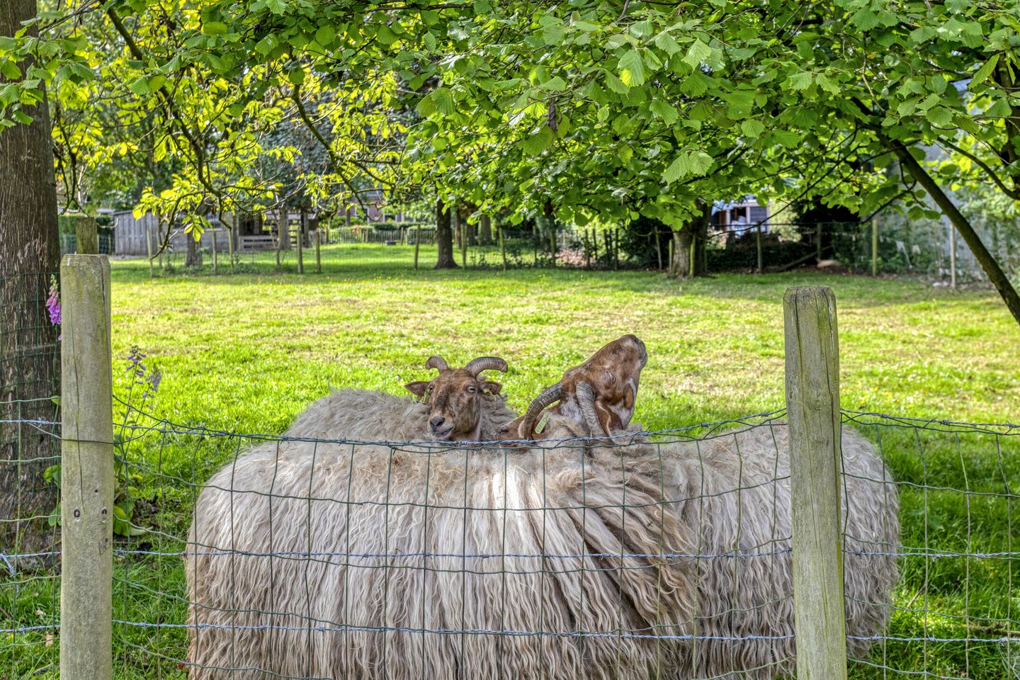 Foto 44 van Breerijt 13