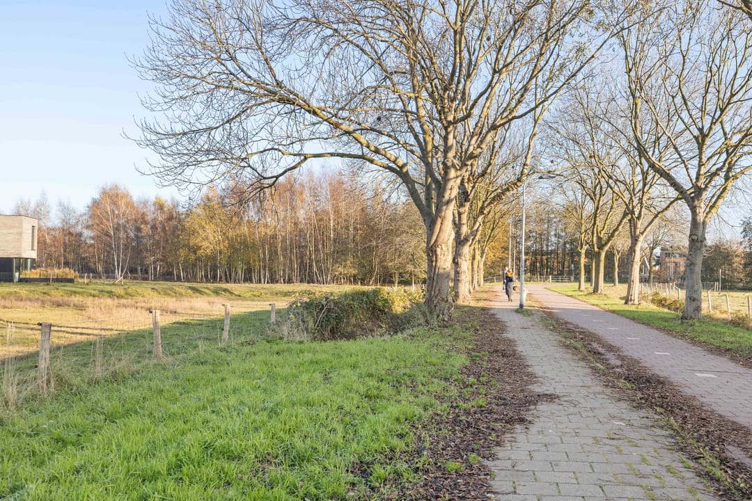 Foto 41 van Sleeuwijkerf 14