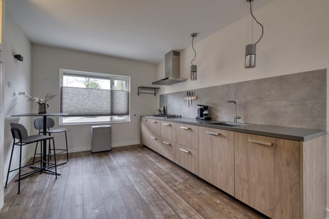 Muurzwaluw 24 tertiary image