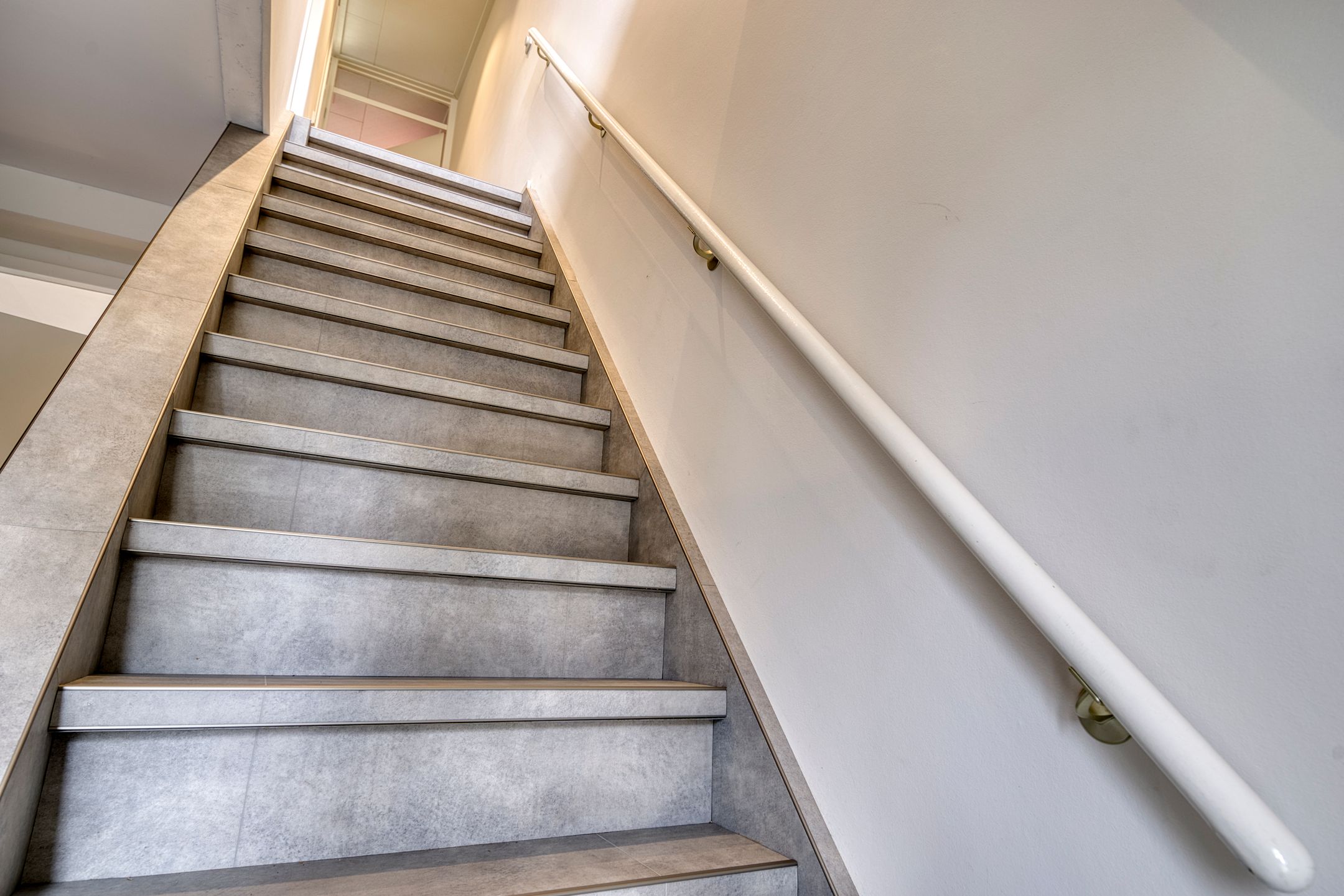 Foto 15 van Muurzwaluw 24