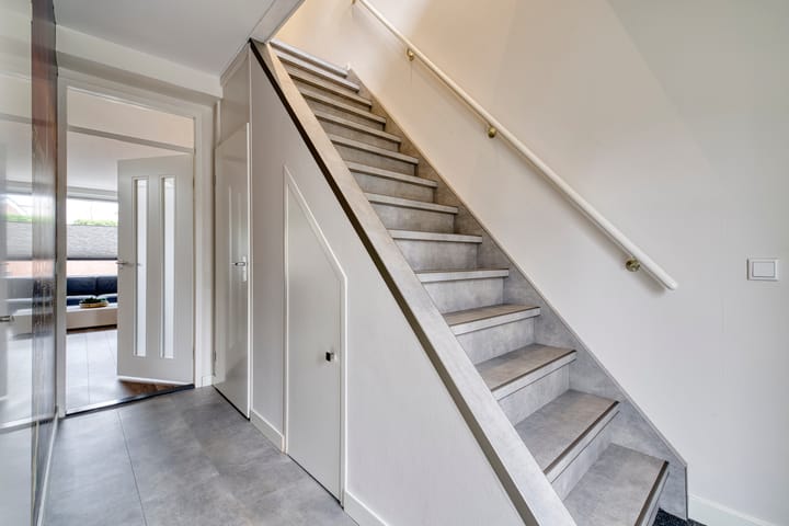 Photo 14 of Muurzwaluw 24