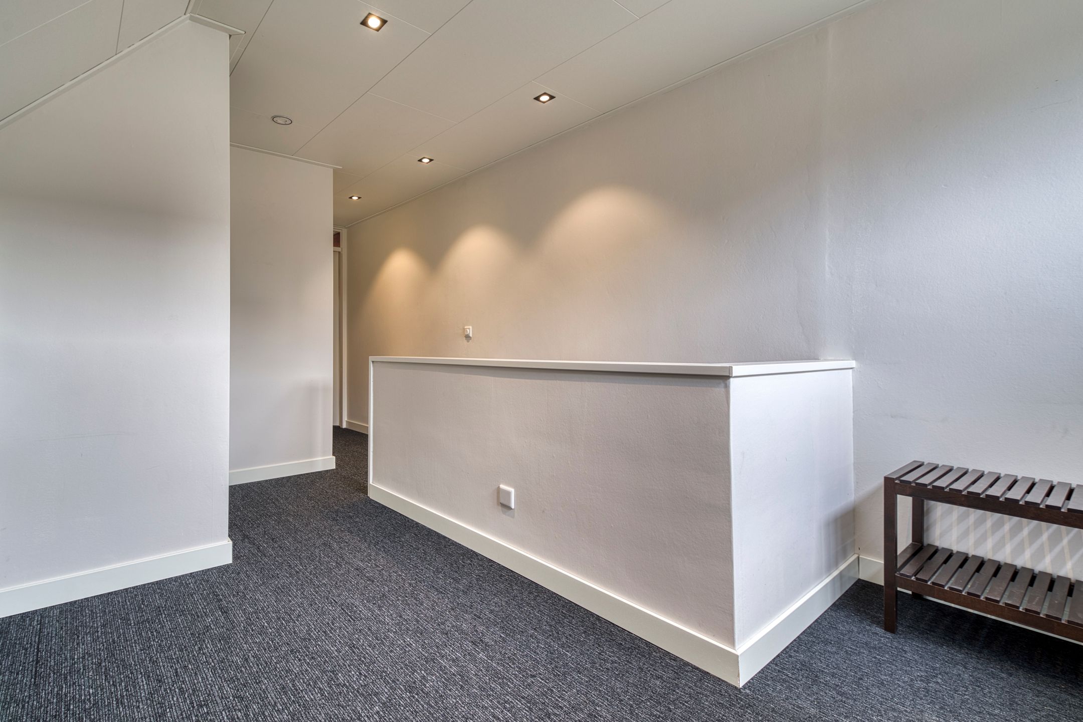 Foto 18 van Muurzwaluw 24