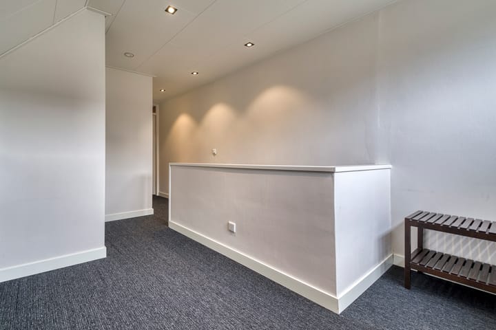 Photo 18 of Muurzwaluw 24