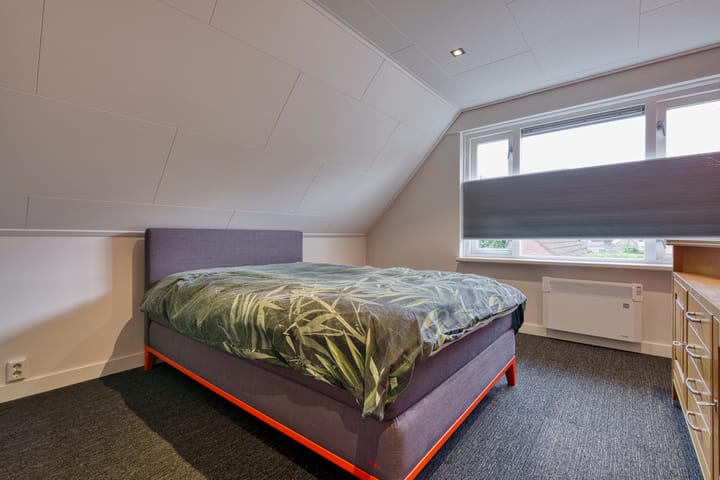 Photo 20 of Muurzwaluw 24