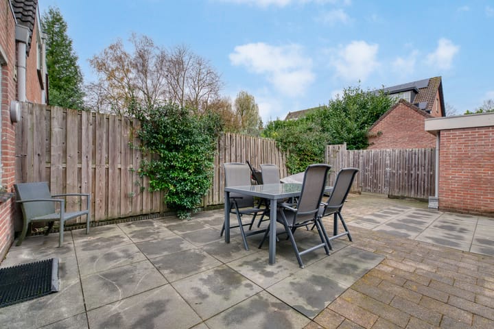 Photo 27 of Muurzwaluw 24