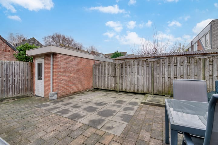 Photo 30 of Muurzwaluw 24