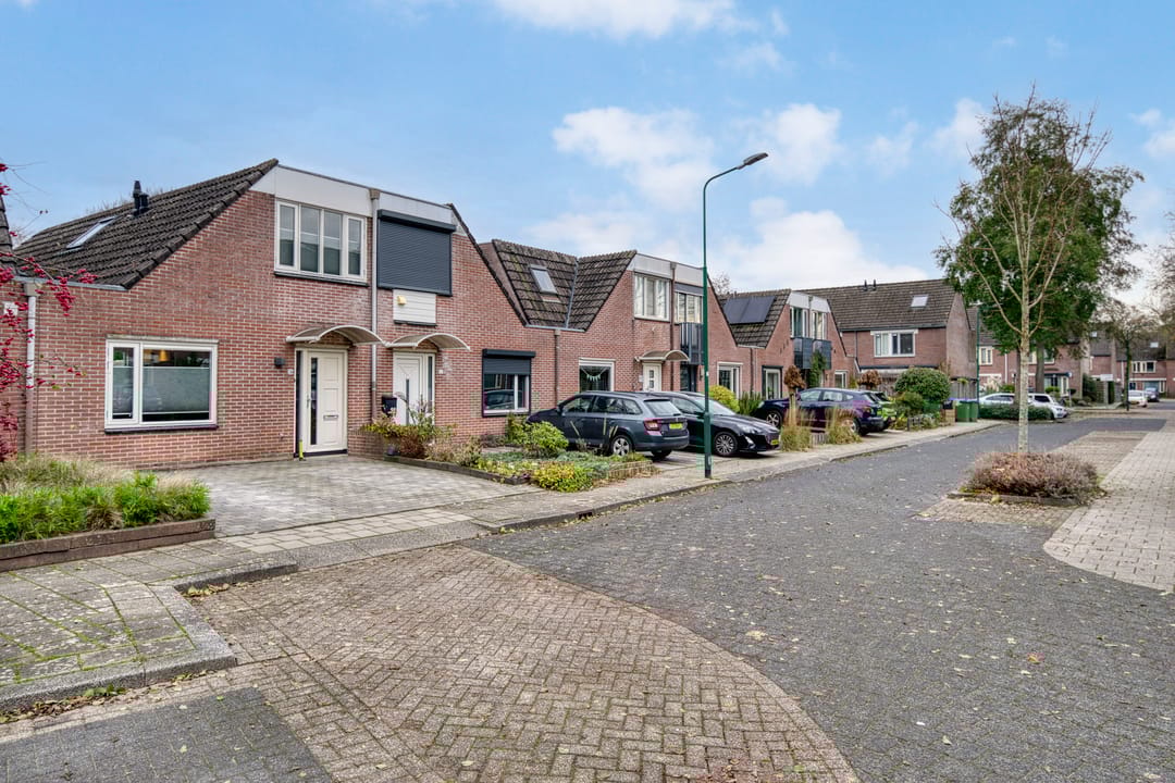 Foto 31 van Muurzwaluw 24