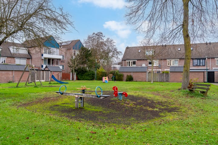 Photo 32 of Muurzwaluw 24