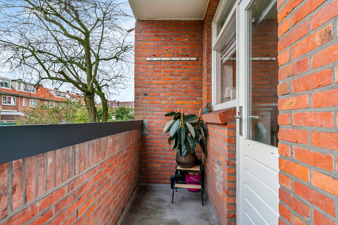 Foto 16 van Linnaeusstraat 95