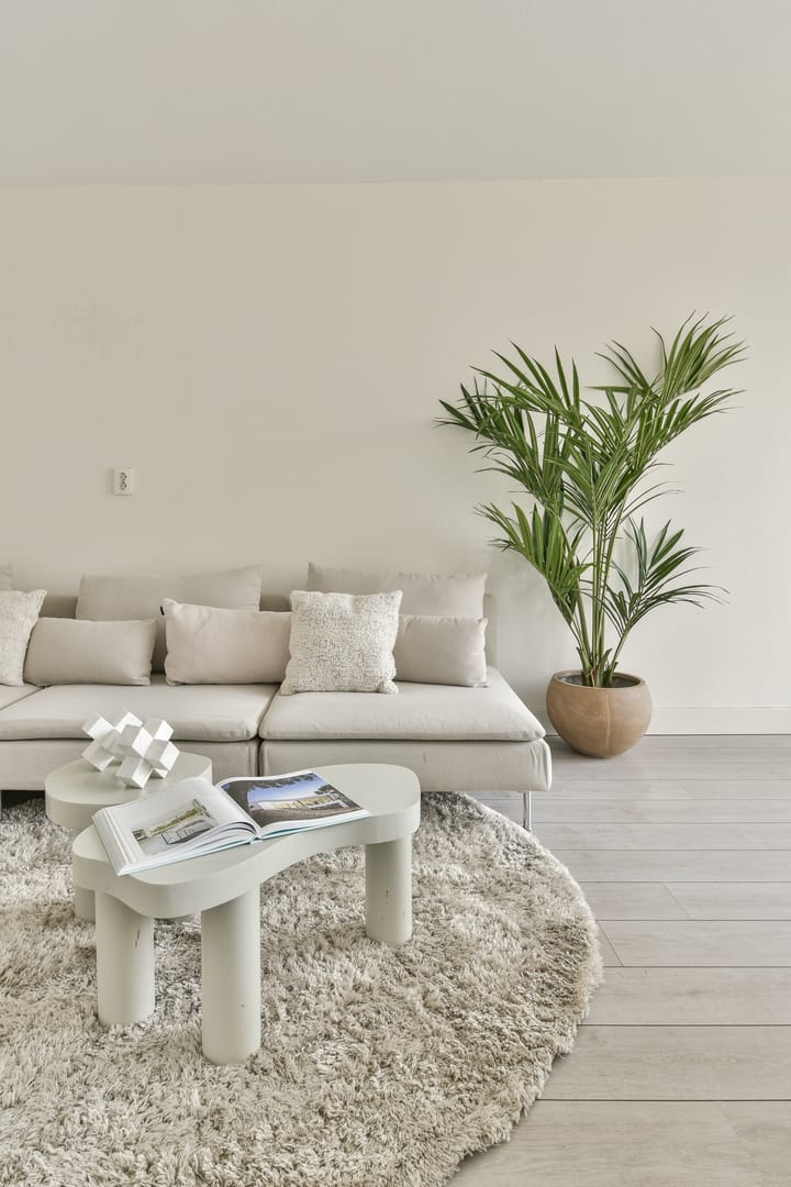 Foto 4 van Rijswijkstraat 49