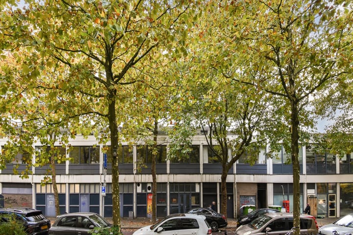 Foto 21 van Rijswijkstraat 49