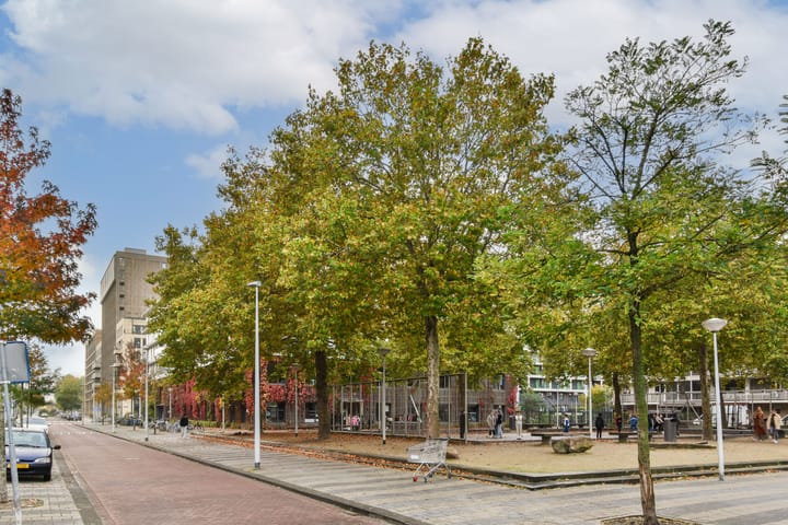 Foto 25 van Rijswijkstraat 49