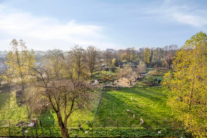 Foto 9 van Kruiskampsingel 413