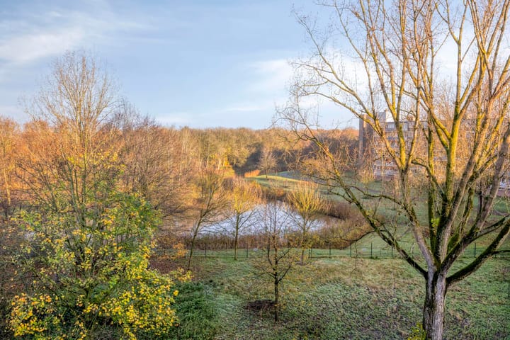 Foto 8 van Kruiskampsingel 413