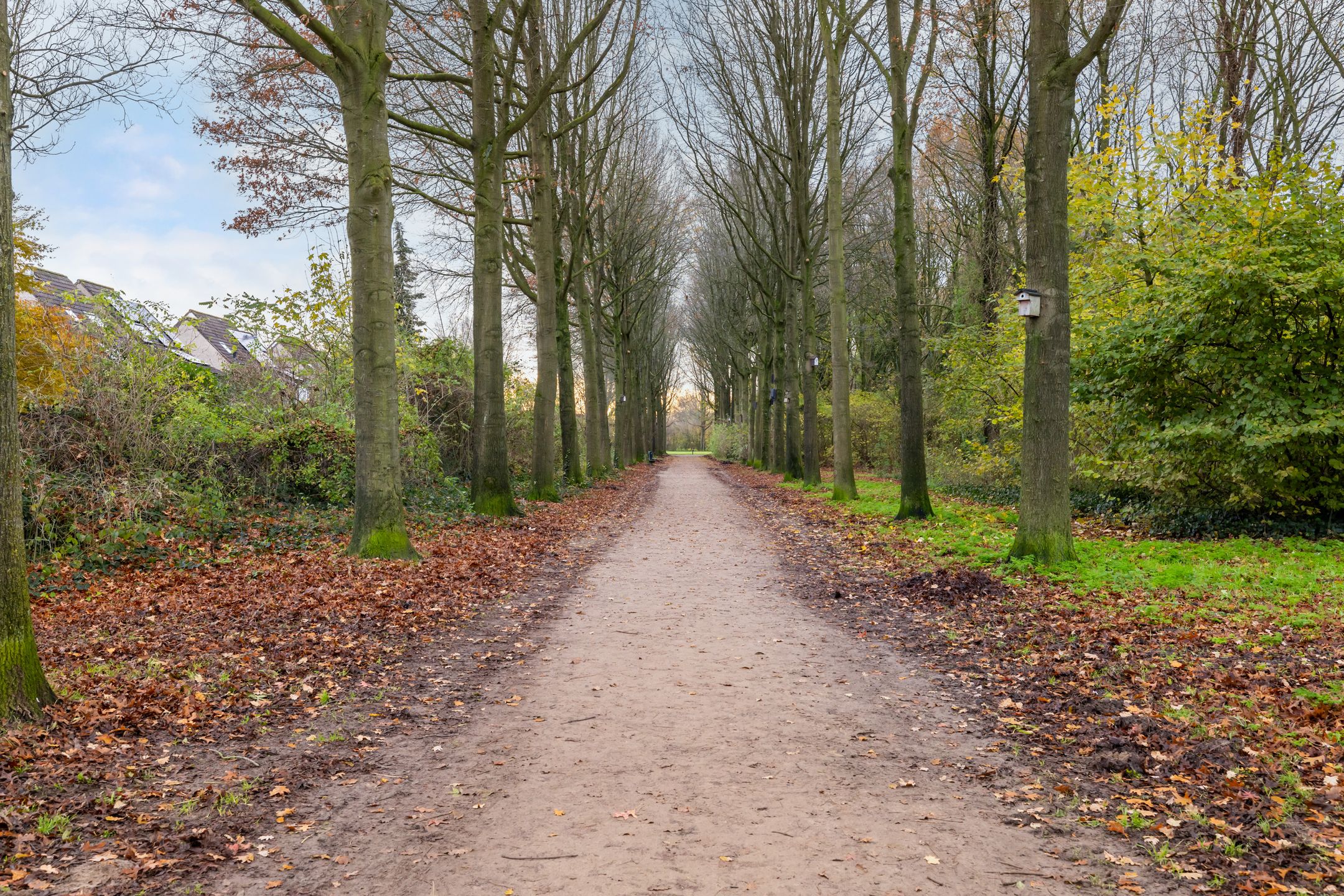 Foto 39 van Zwanenkamp 1260