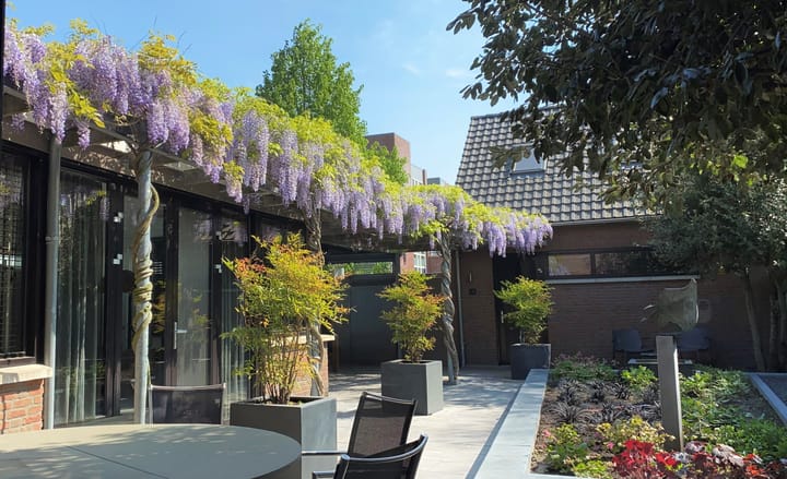 Foto 35 van Dr van Wamelstraat 9