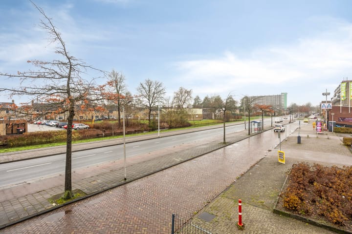 Foto 43 van De Wielewaal 33