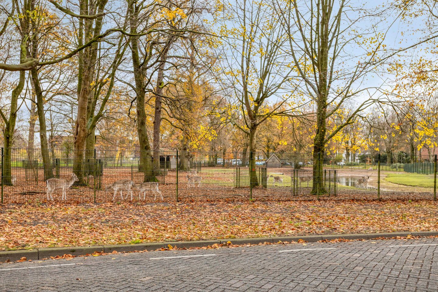 Foto 29 van Schoutenveld 11