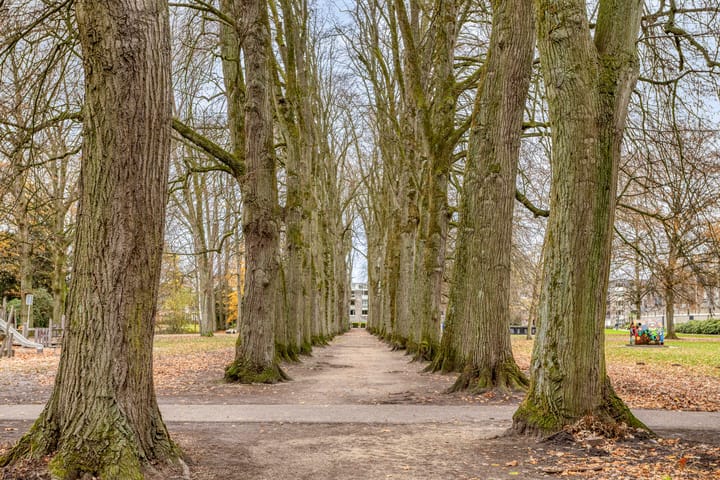 Foto 31 van Schoutenveld 11