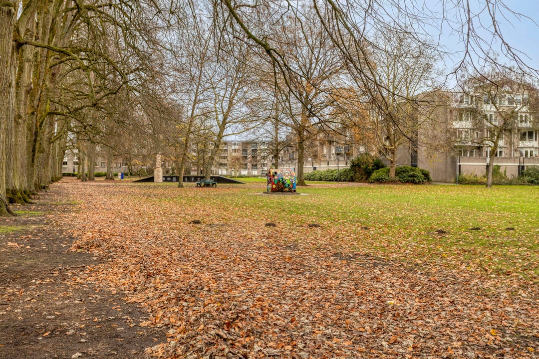 Foto 32 van Schoutenveld 11