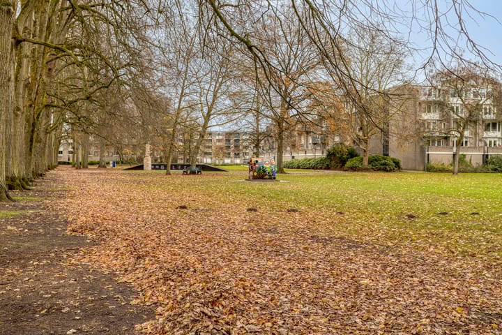 Foto 32 van Schoutenveld 11