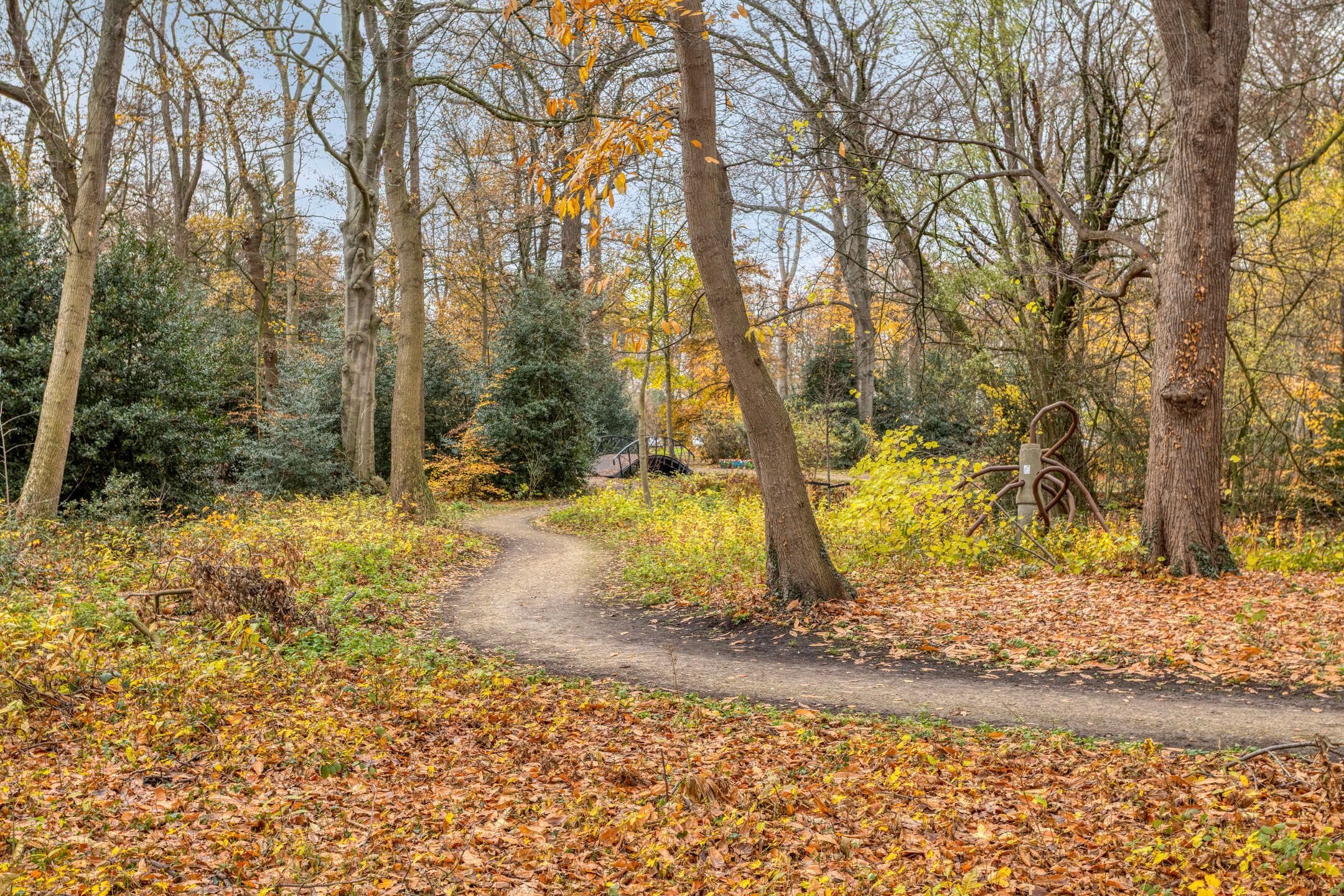 Foto 33 van Schoutenveld 11