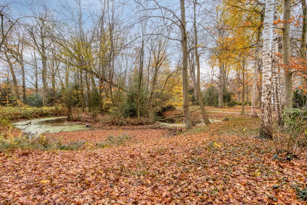 Foto 26 van Schoutenveld 11