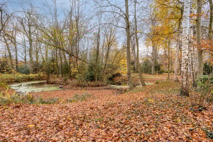 Foto 26 van Schoutenveld 11