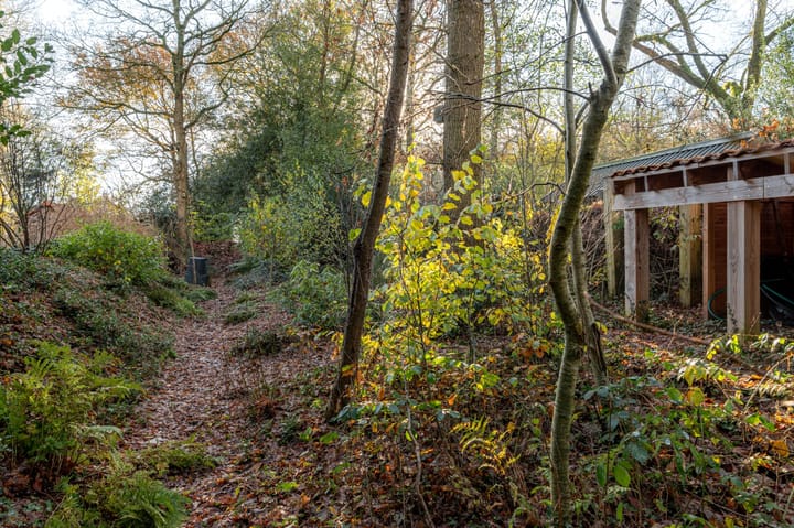 Foto 42 van Golfpad 16