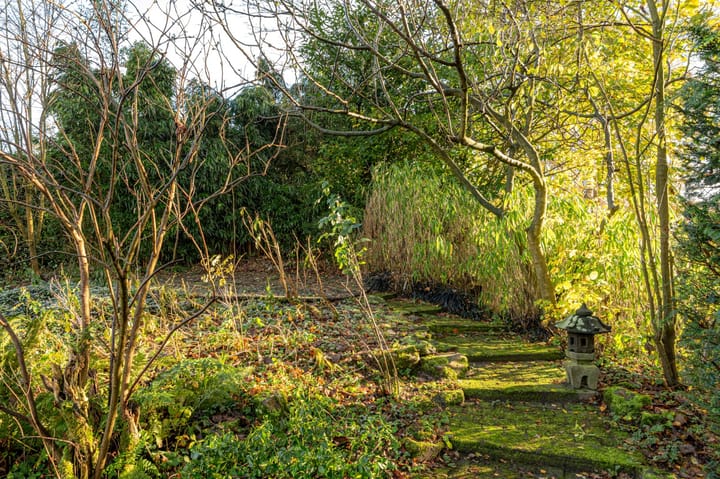 Foto 43 van Golfpad 16