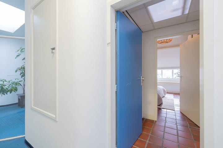 Foto 26 van Spaarne 217