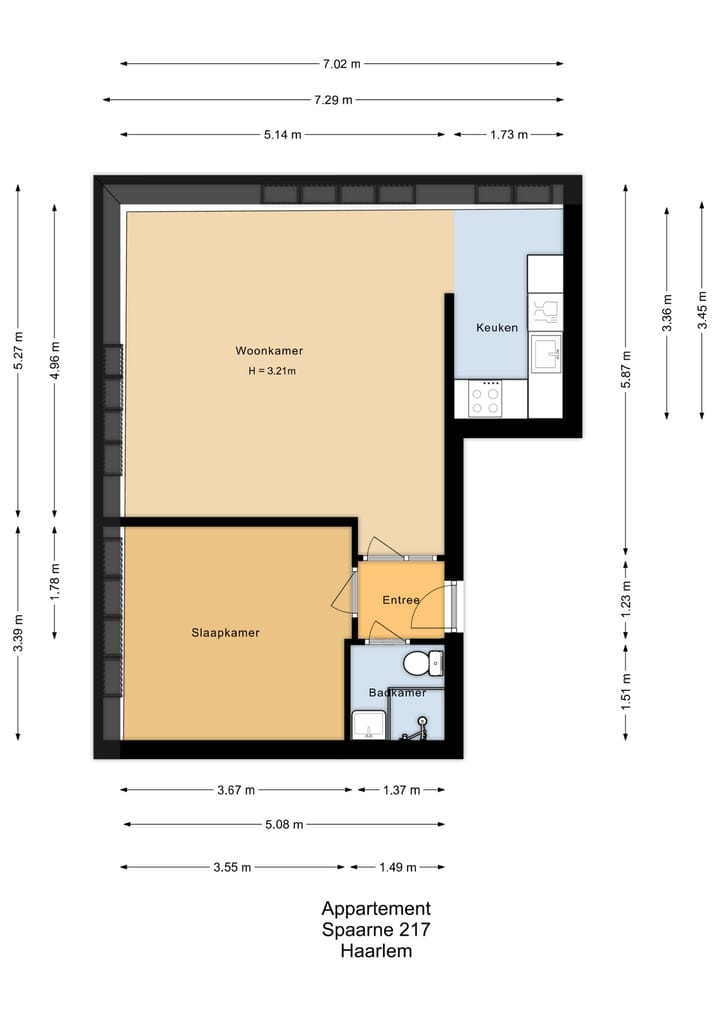 Foto 42 van Spaarne 217